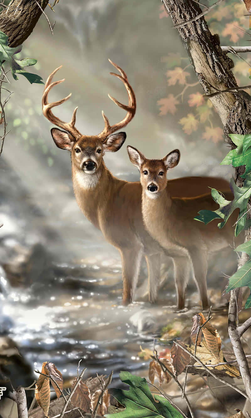 Get The Ultimate Hunting Experience With Hunting Phone Wallpaper