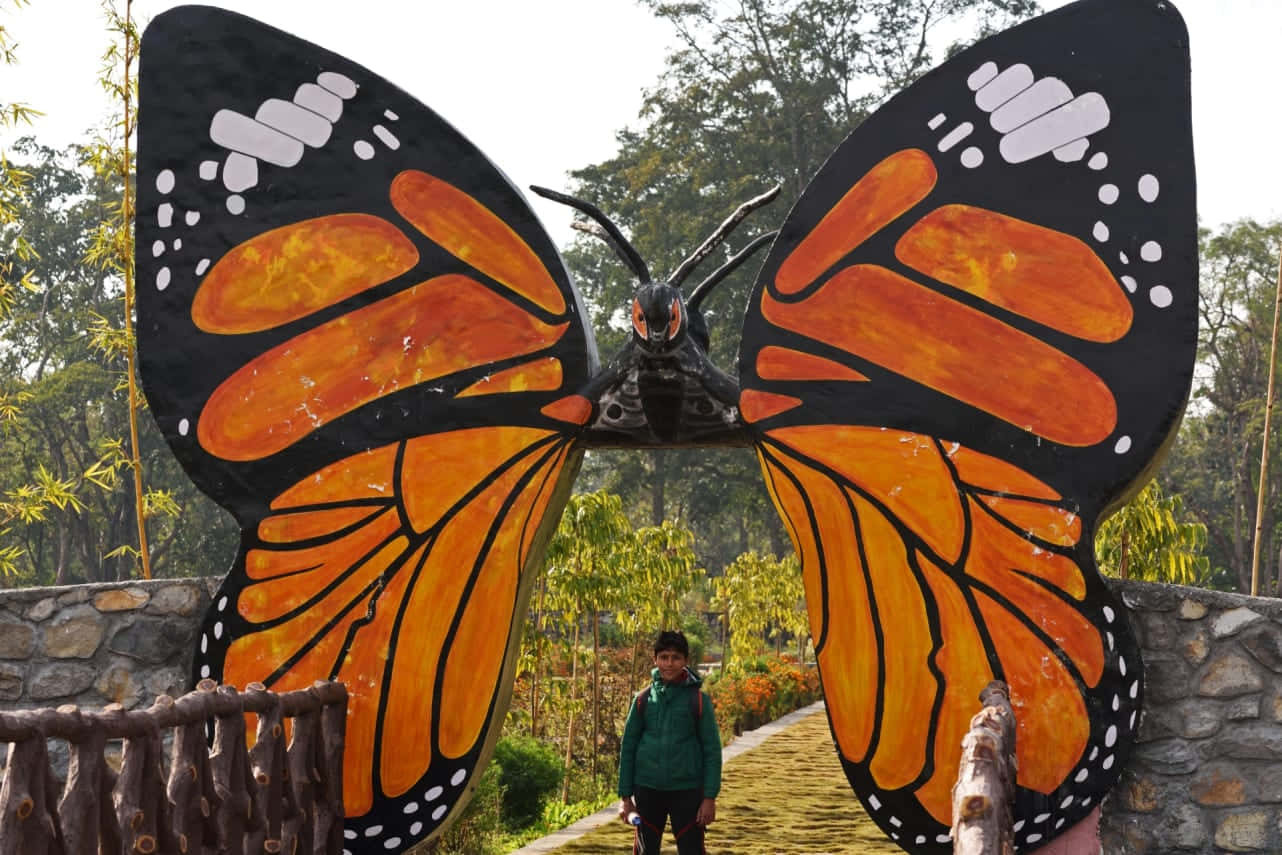 Giant_ Butterfly_ Wings_ Installation_at_ Park Wallpaper