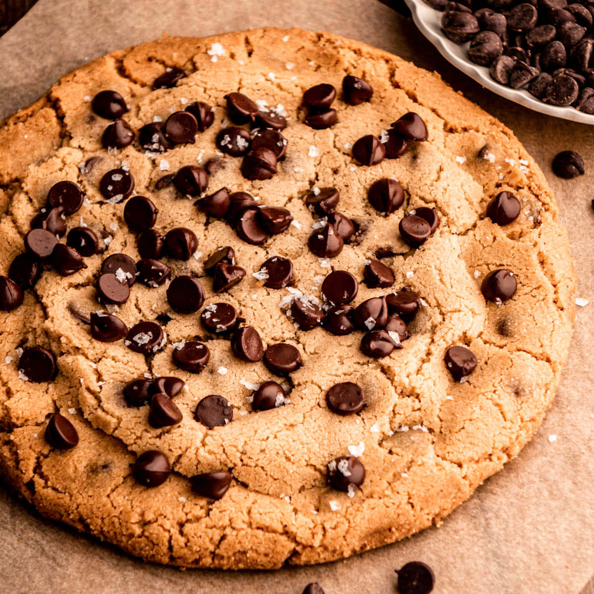 Giant Chocolate Chip Cookie Wallpaper