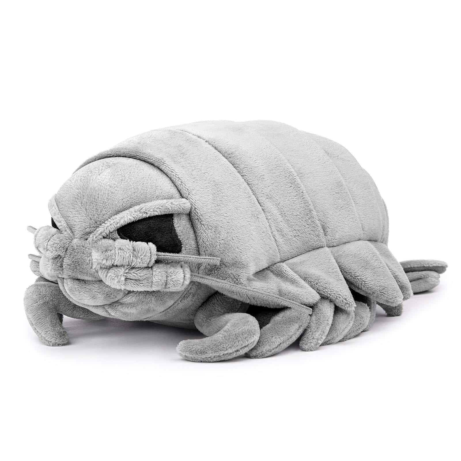 Giant Isopod Plush Toy Wallpaper