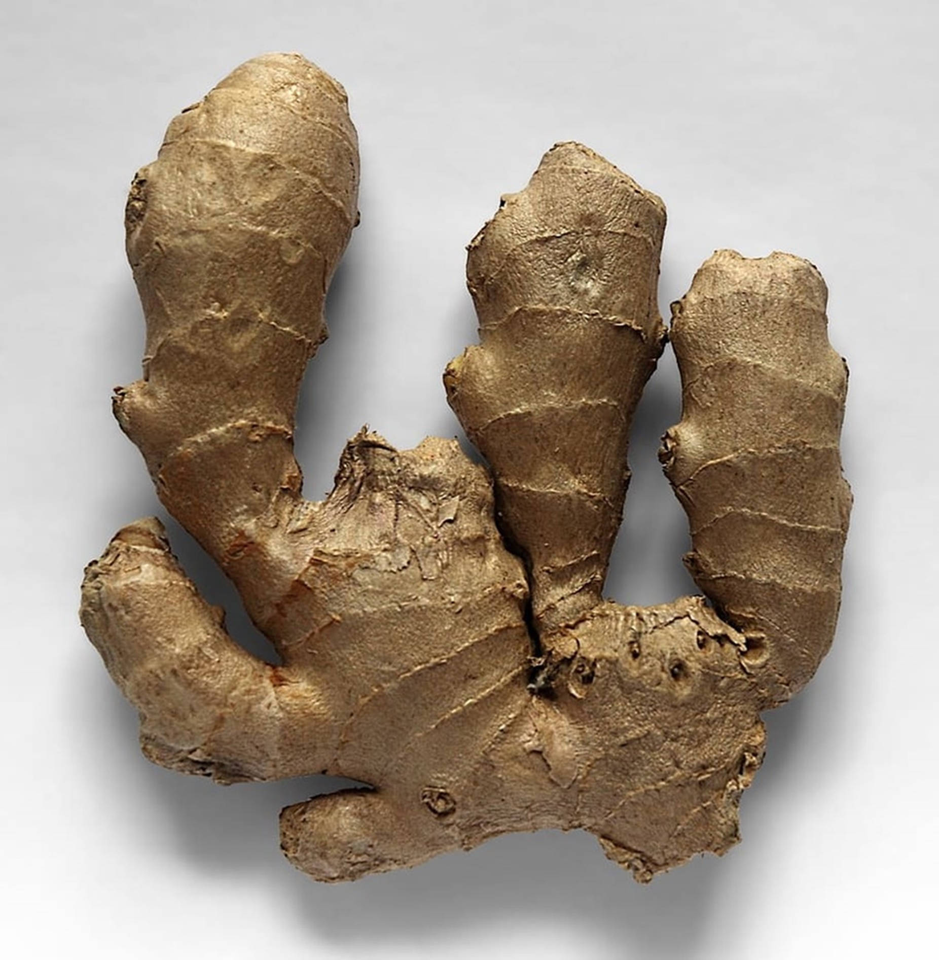 Ginger Root Vegetable Top View Wallpaper