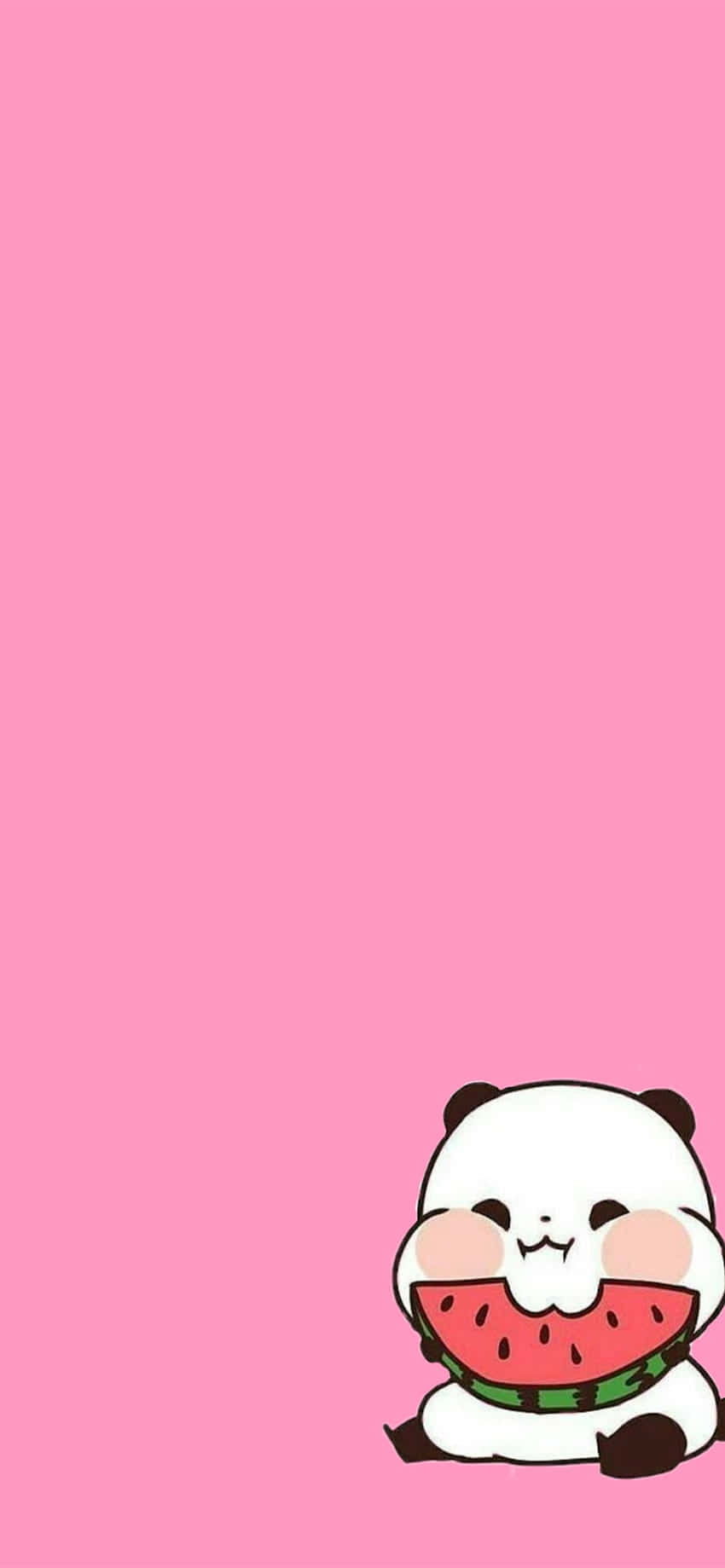 Girly Cute Panda Pink Watermelon Wallpaper