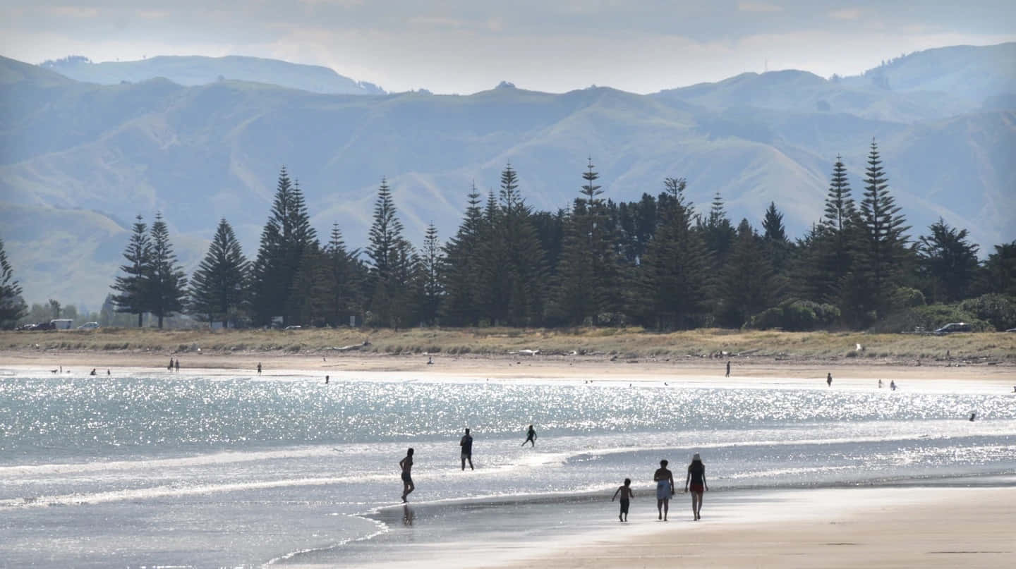 Gisborne Coastal Scenery New Zealand Wallpaper