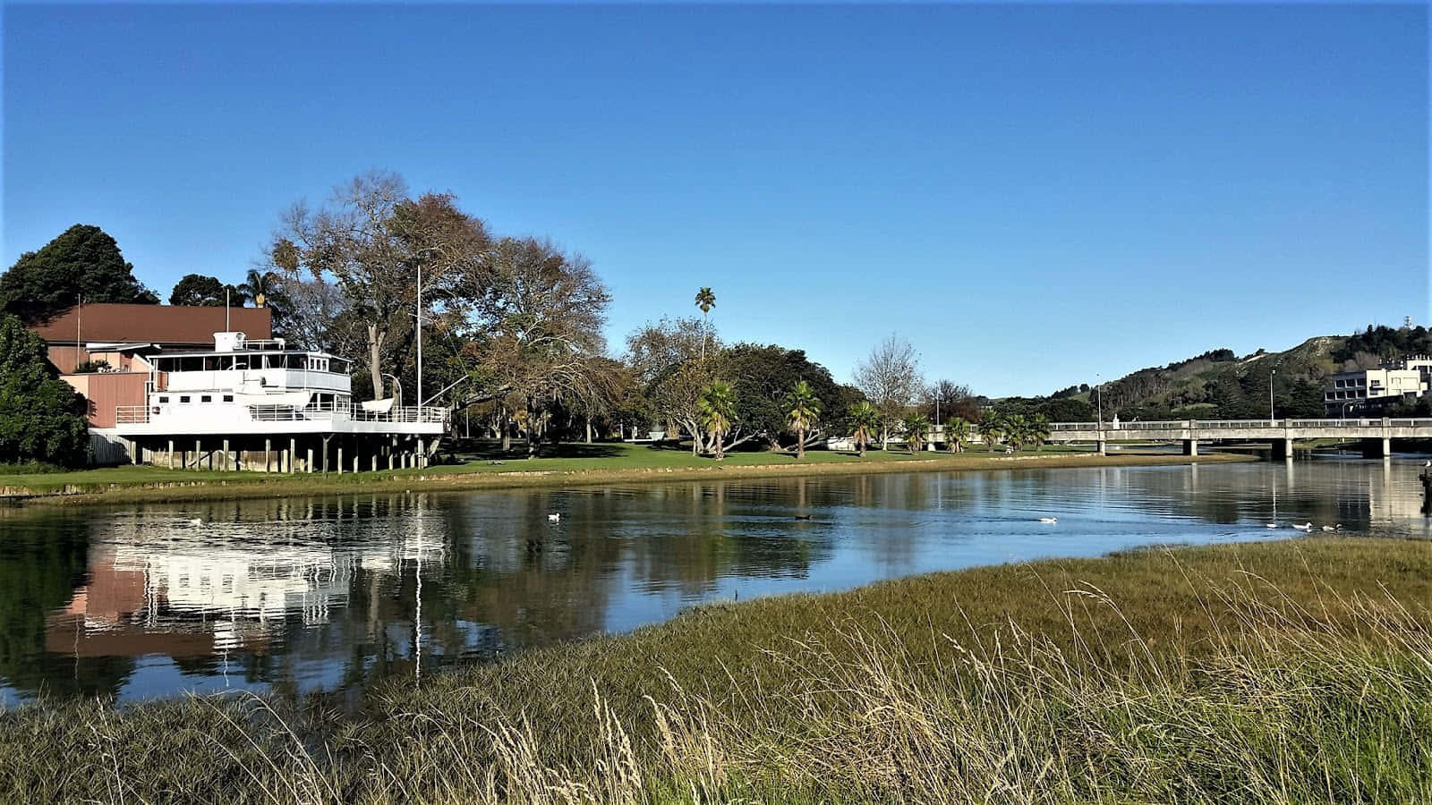 Gisborne River Scenery New Zealand Wallpaper