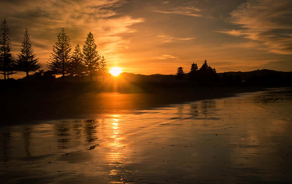 Gisborne Sunset Beach New Zealand Wallpaper