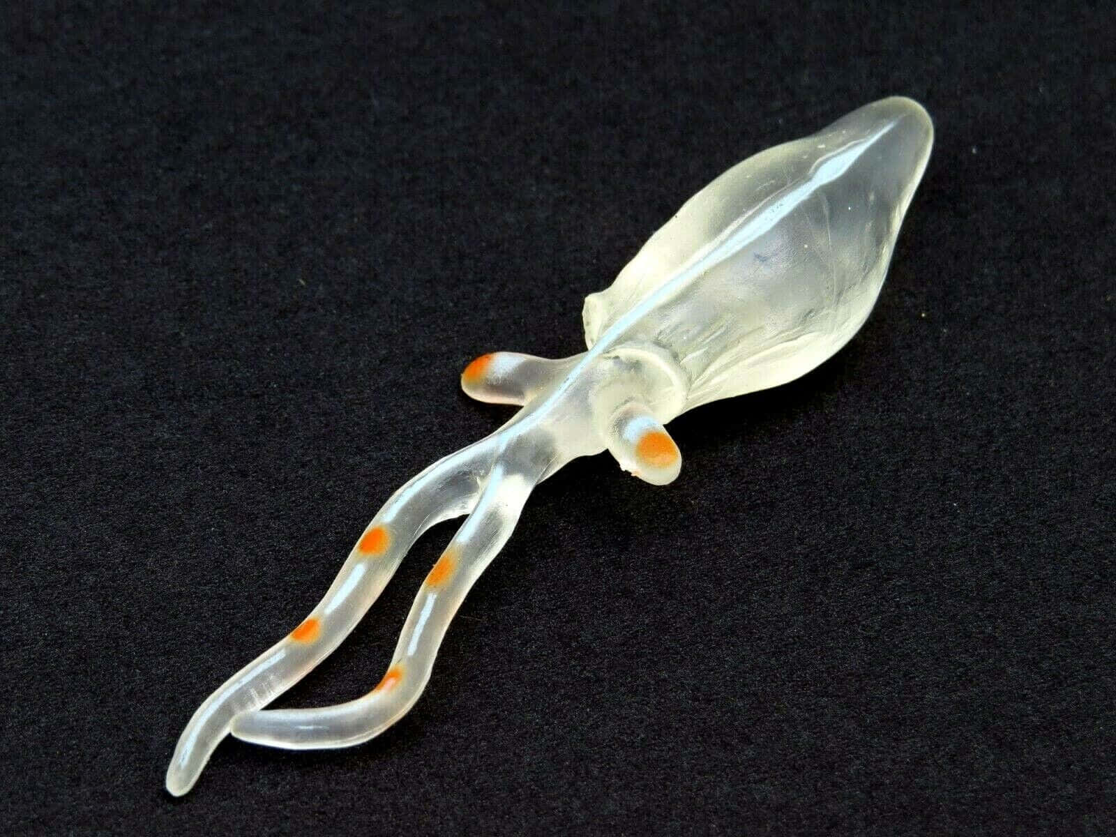 Glass Squid Transparent Sea Creature Wallpaper