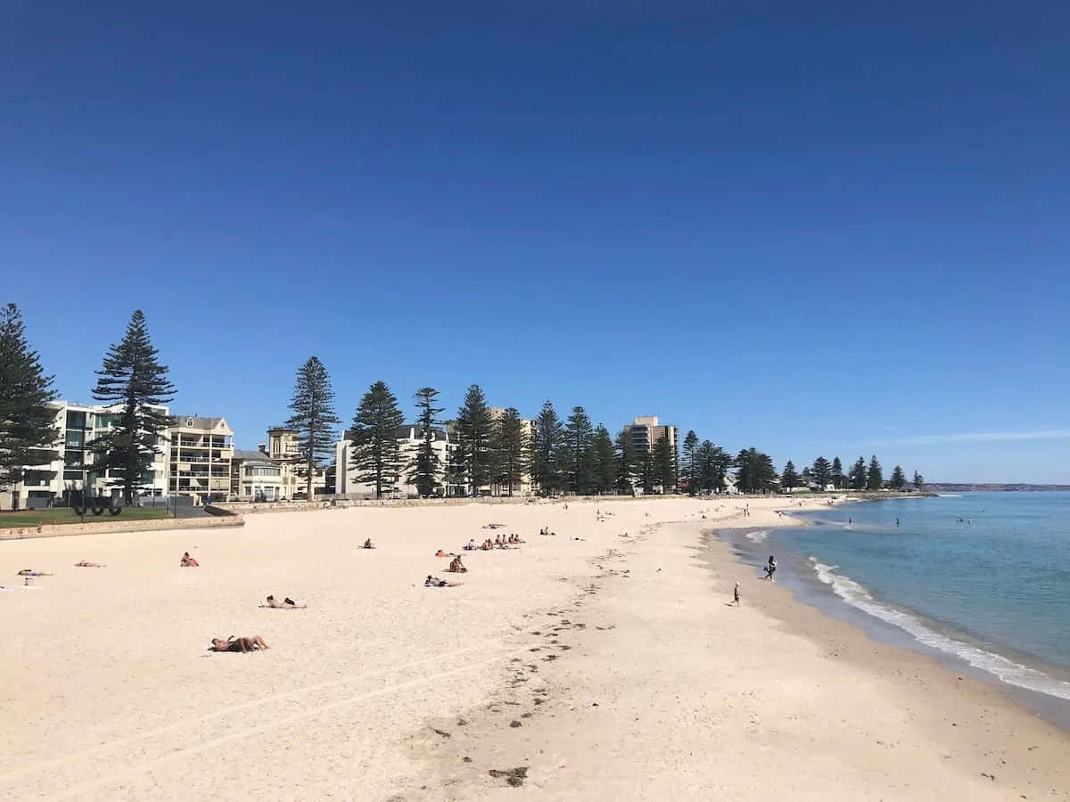 Glenelg Beach Sunny Day Wallpaper