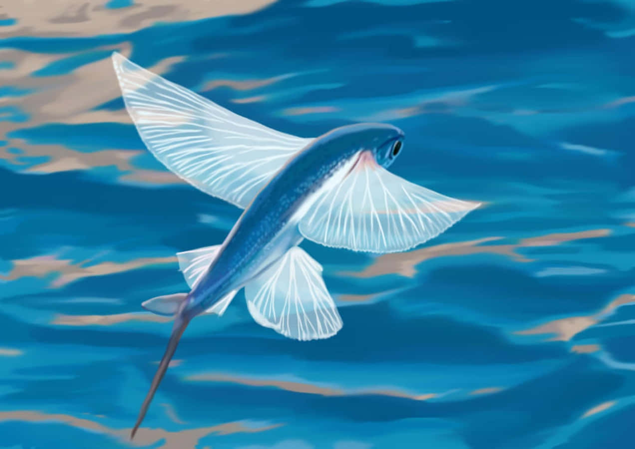 Glide_ Above_ Waves_ Flying_ Fish Wallpaper