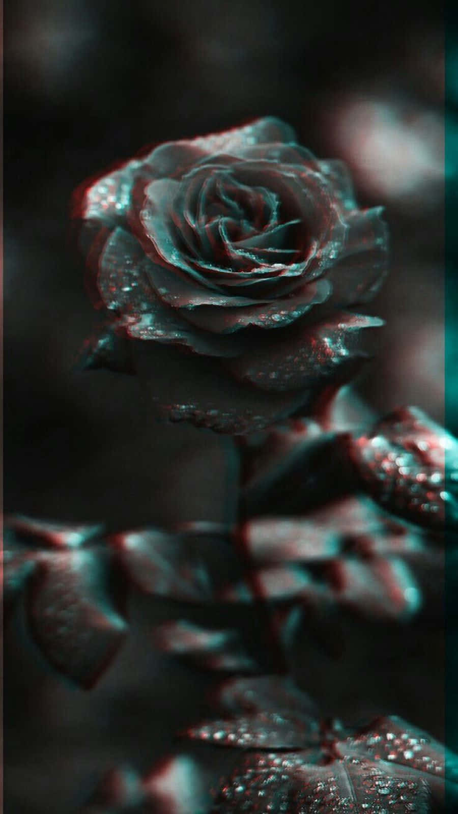 Glitchy_ Rose_ Dark_ Aesthetic.jpg Wallpaper