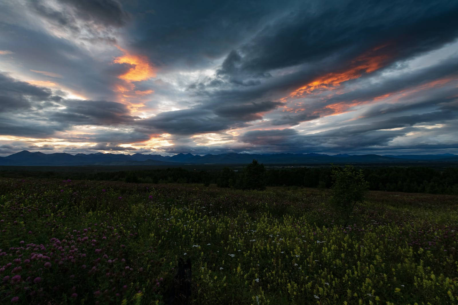 Gloomy Sunrise Nature Wallpaper