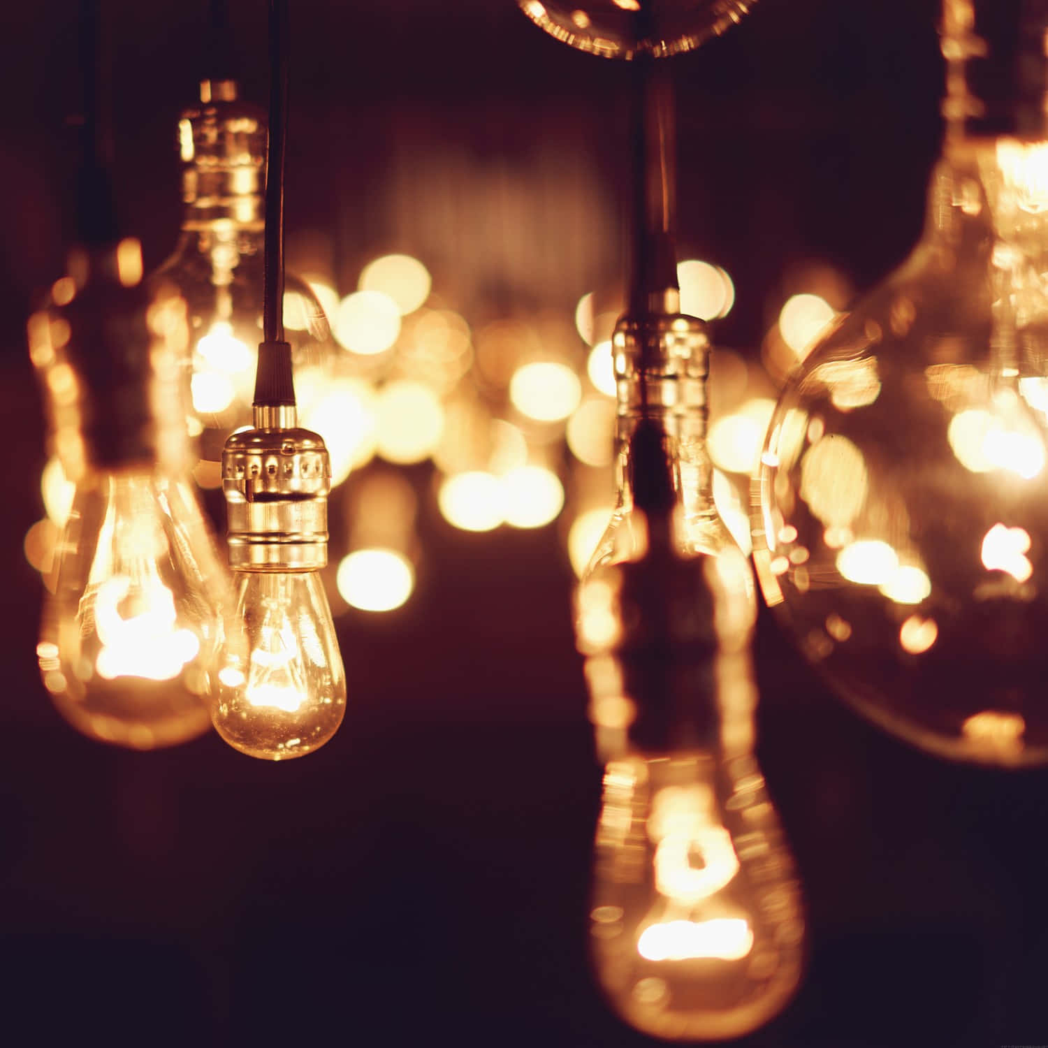 Glowing Incandescent Light Bulbs Wallpaper