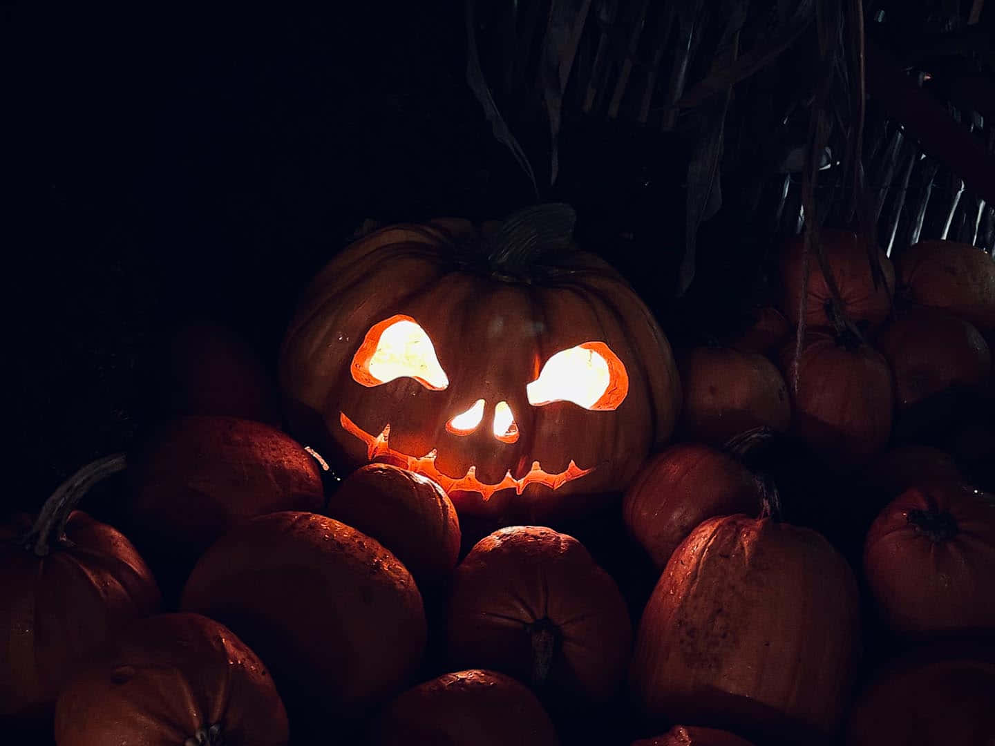 Glowing Jack O Lantern Darkness Wallpaper