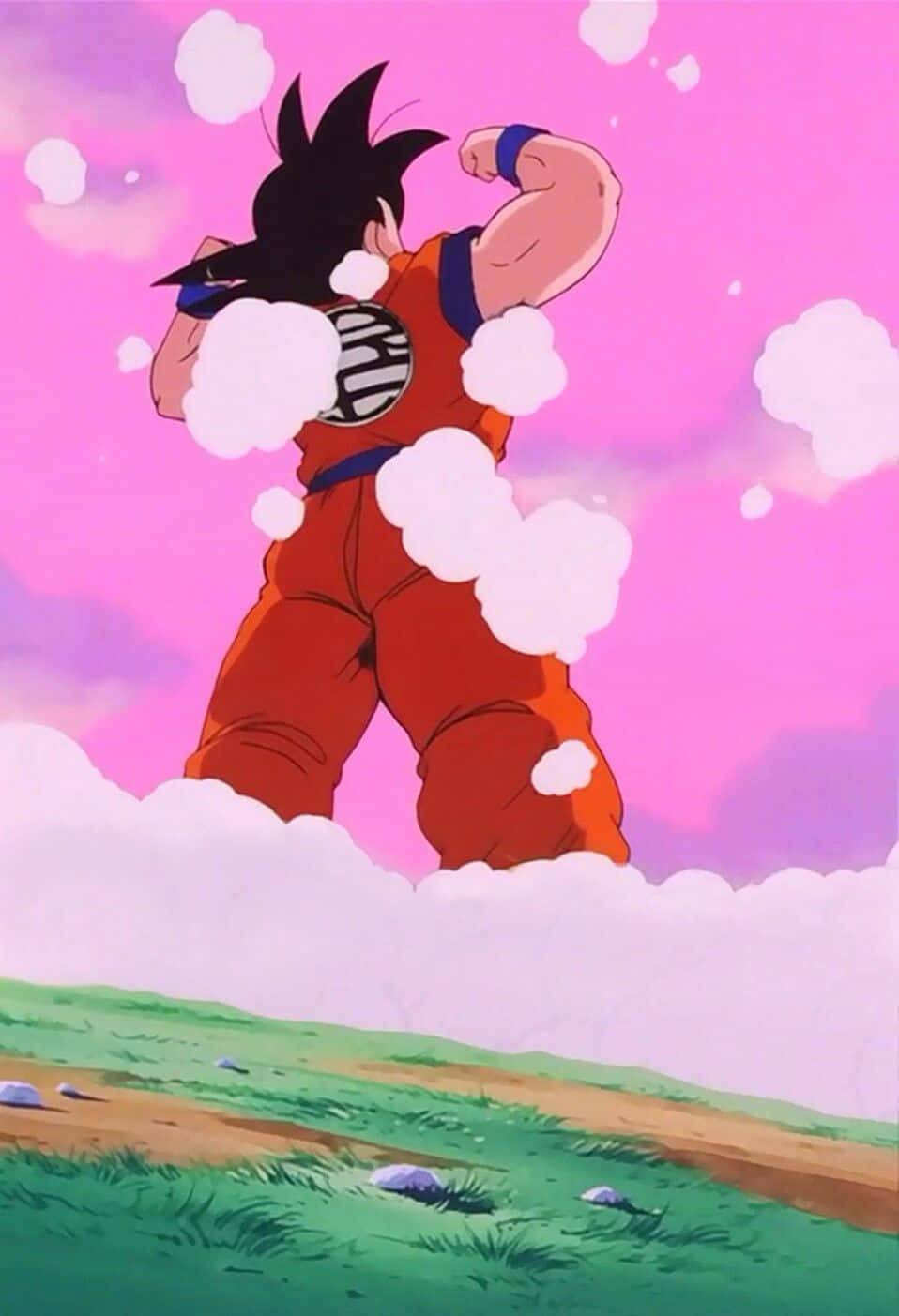 Goku_ Flying_ Above_ Grasslands_ D B Z Wallpaper