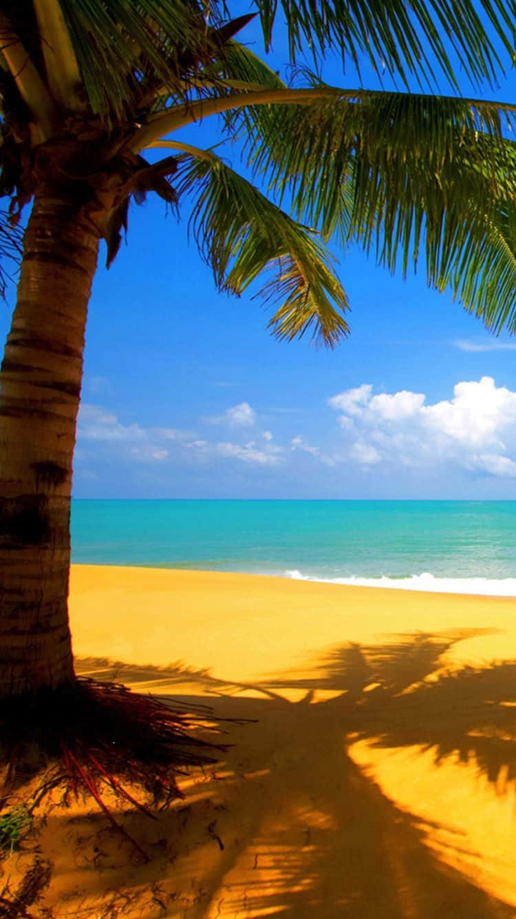 Golden Beach Paradise Wallpaper