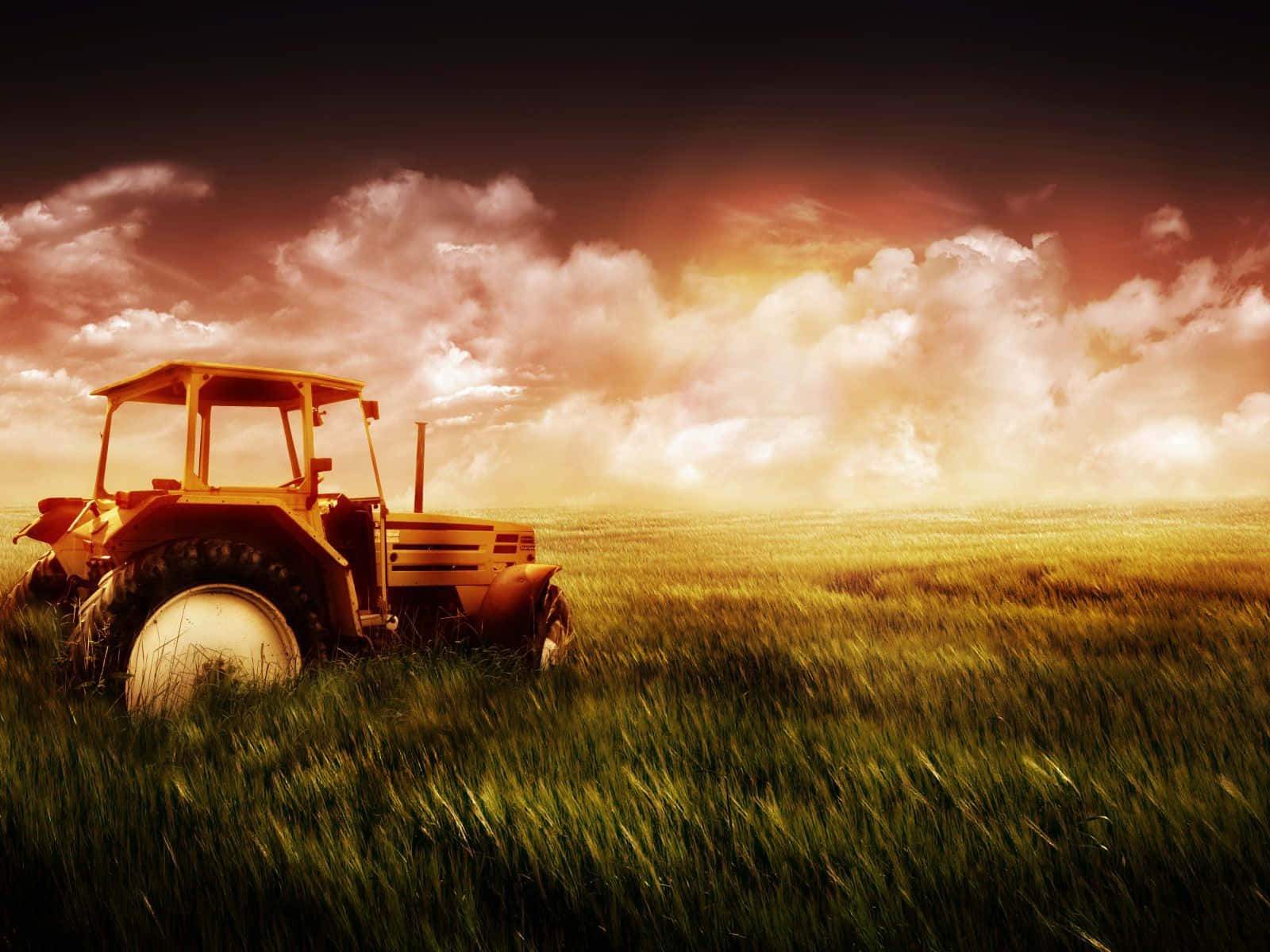 Golden Hour Farming Tractor Wallpaper