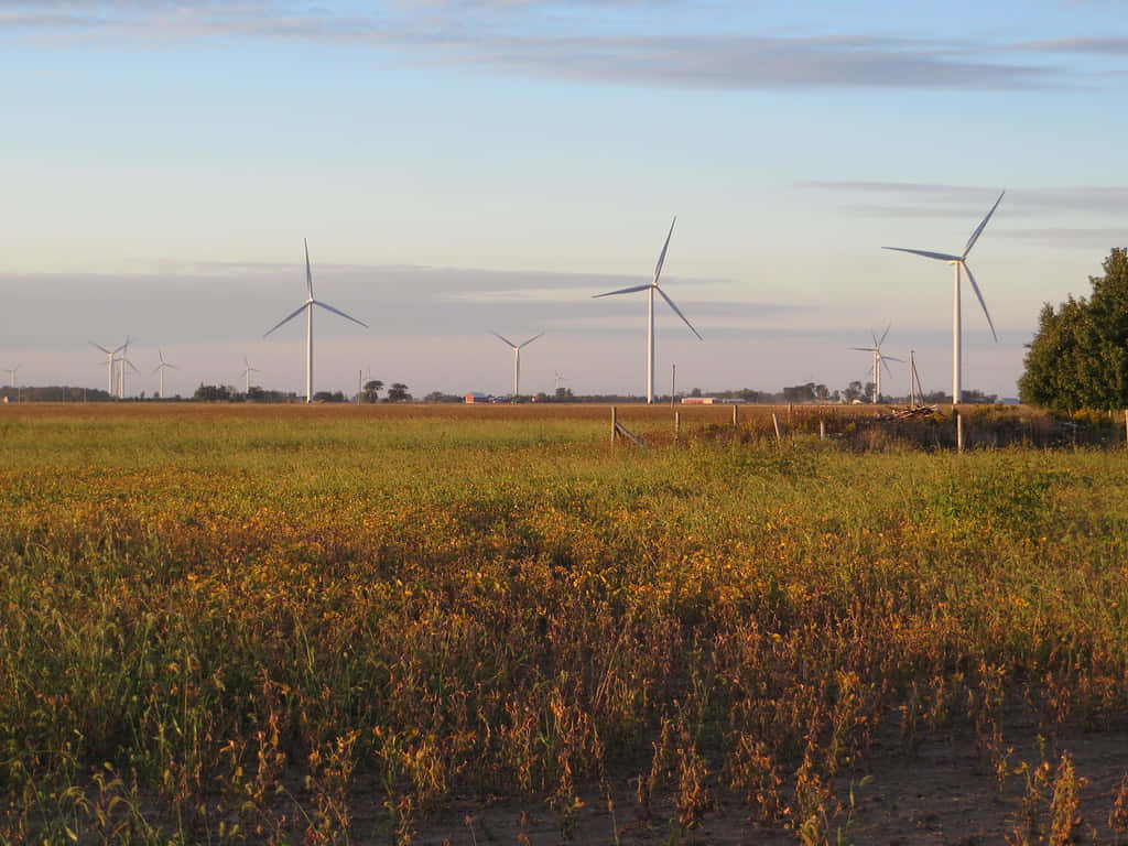 Golden Hour Wind Turbines Chatham Kent Wallpaper