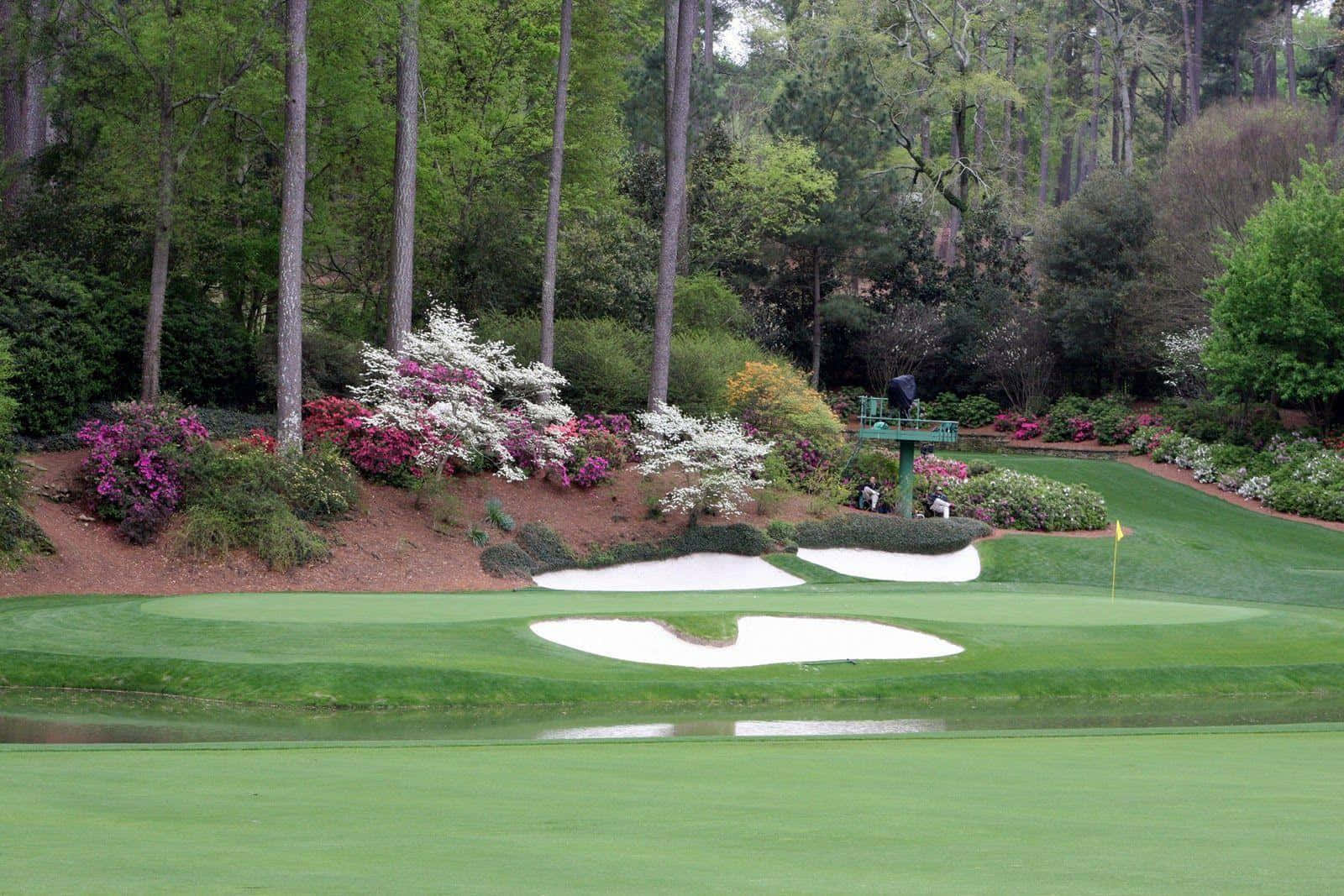 Golf Lovers Rejoice At The Beautiful And Iconic Augusta National Wallpaper