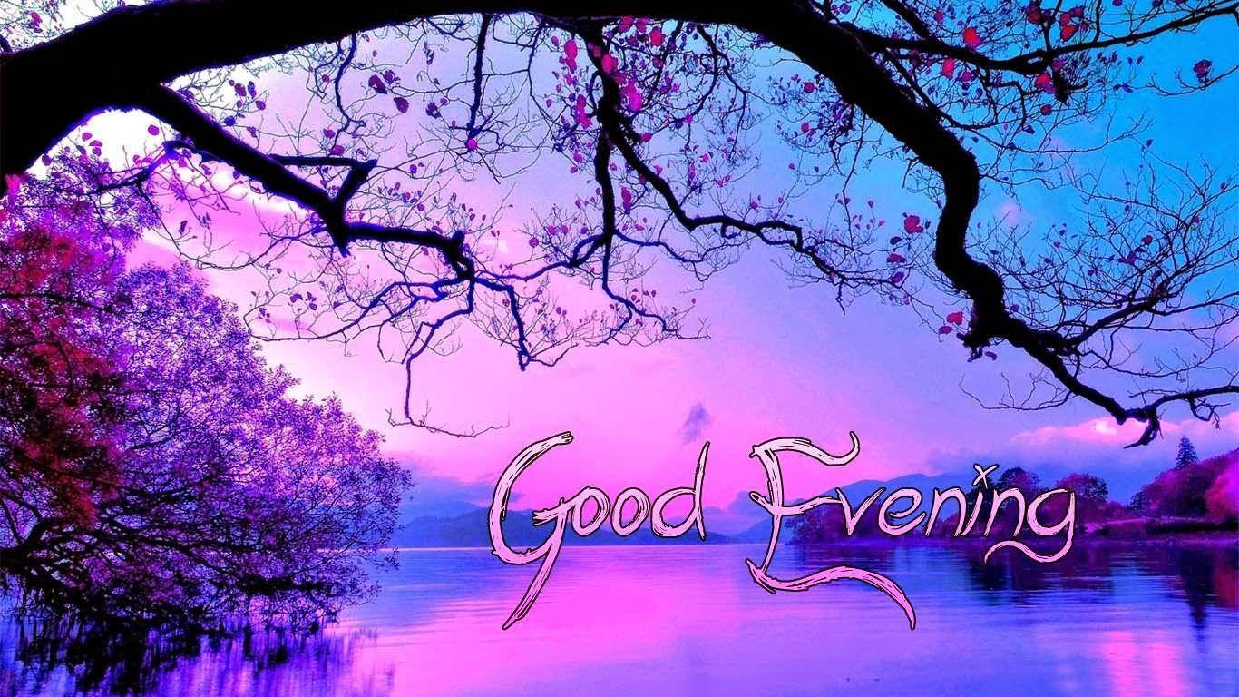 Good Evening Purple Wallpaper