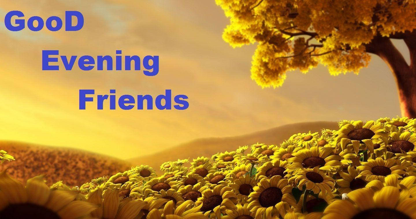 Good Evening Sunflowers Wallpaper