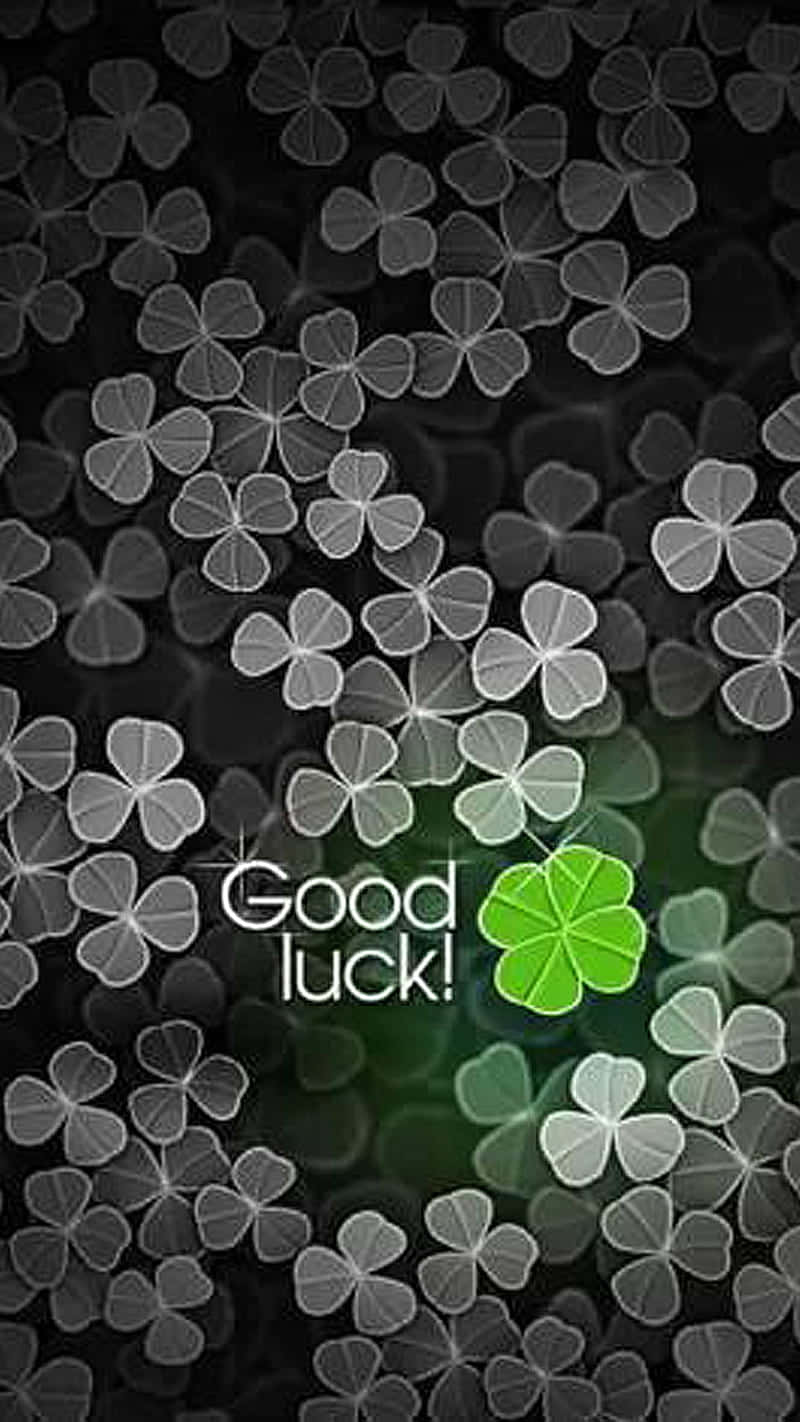 Good Luck Four Leaf Clover Wallpaper