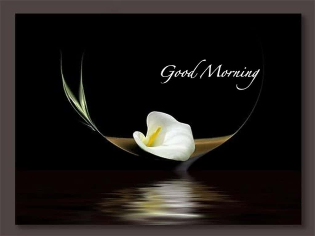 Good Morning Friday Floral Greeting Wallpaper