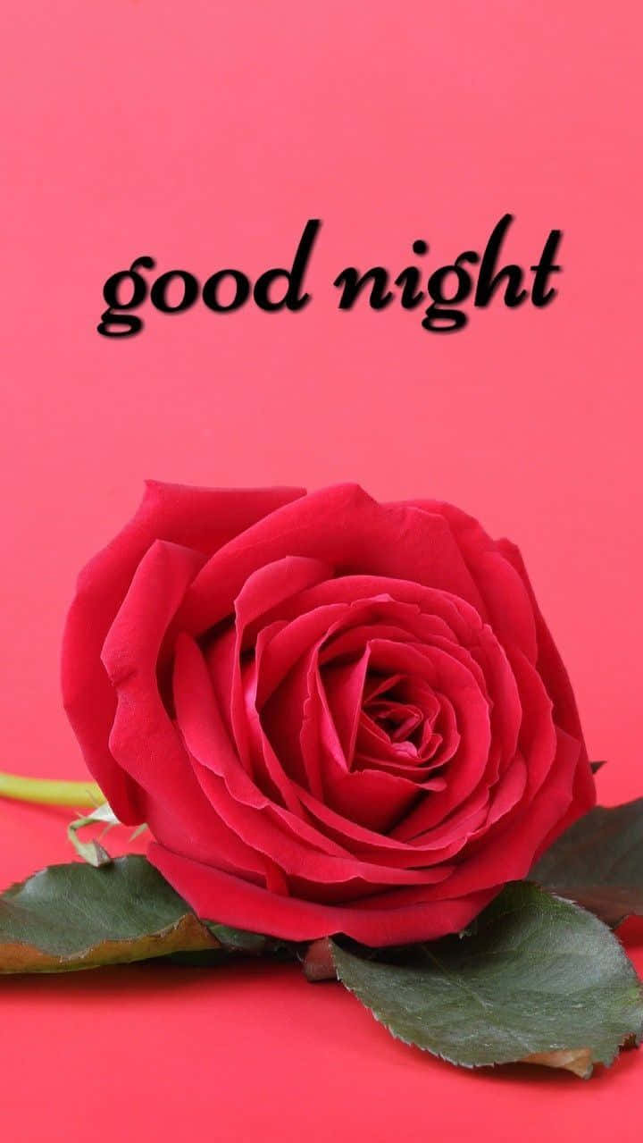 Good Night Rose Image Wallpaper