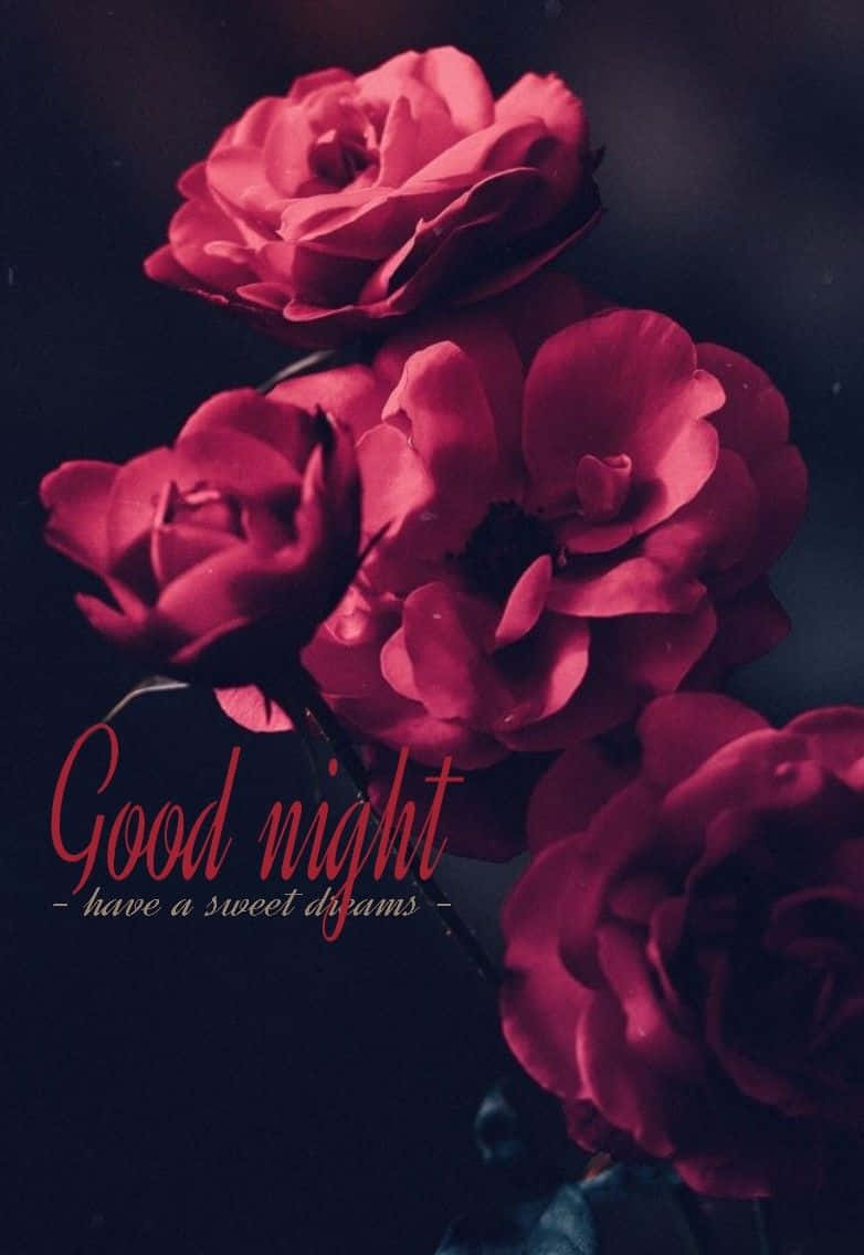 Good Night Sweet Dreams Rose Flowers Wallpaper