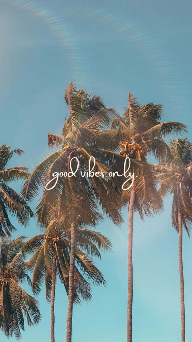 Good Vibes Only Summer Palms Wallpaper