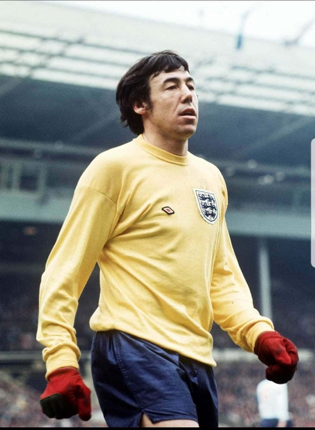 Gordon Banks During Match With Northern Ireland Wallpaper