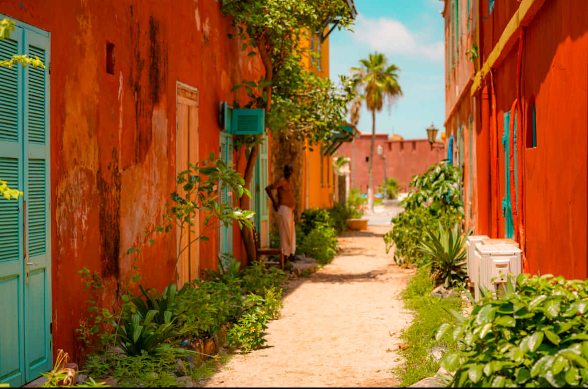 Goree Orange Houses Wallpaper