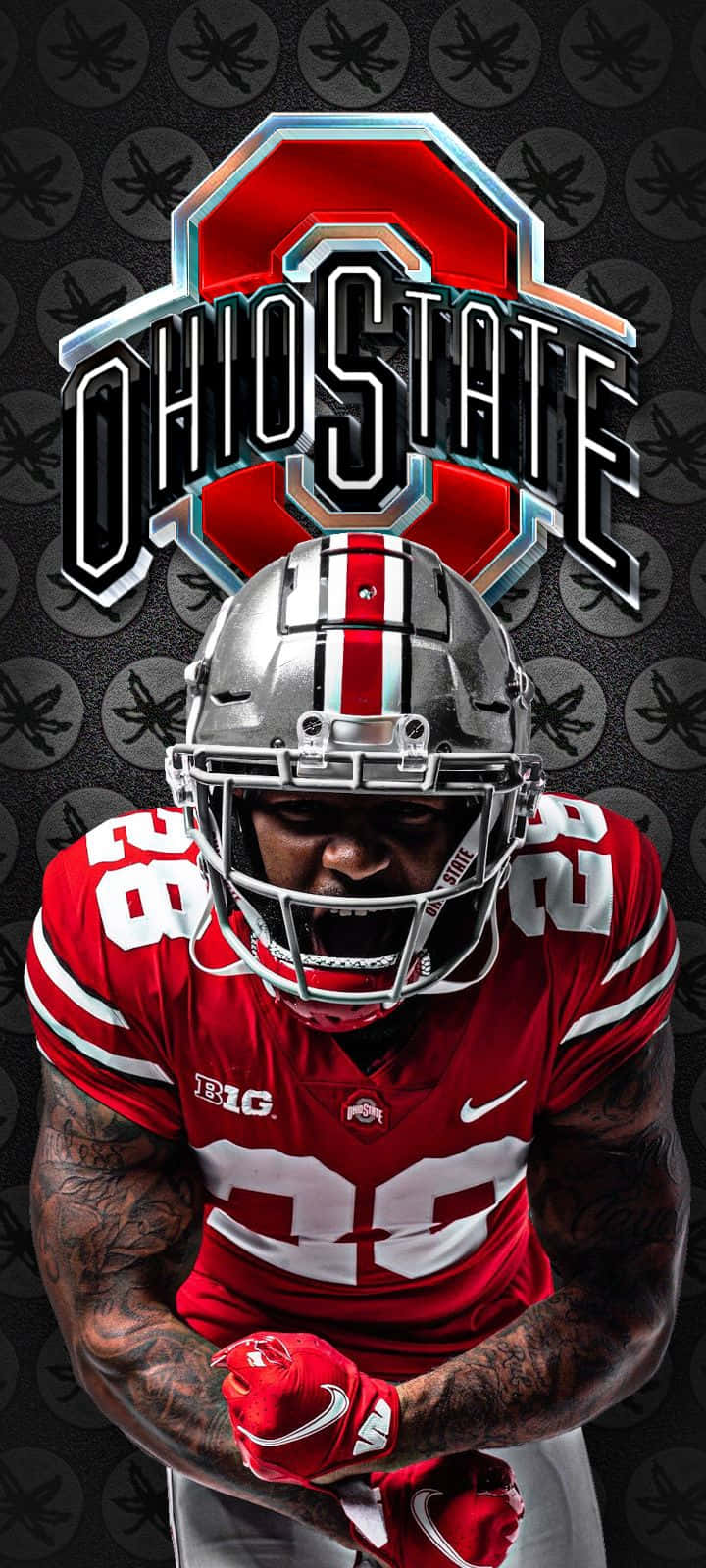 Gorgeous Ohio State Iphon Screene Wallpaper