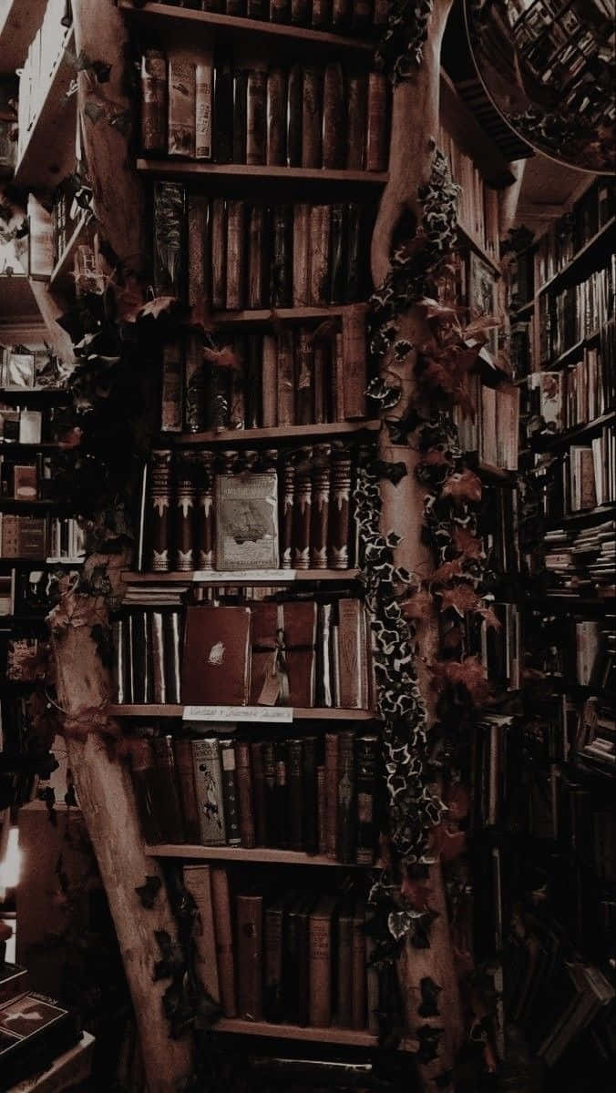 Gothic Library Aesthetic.jpg Wallpaper