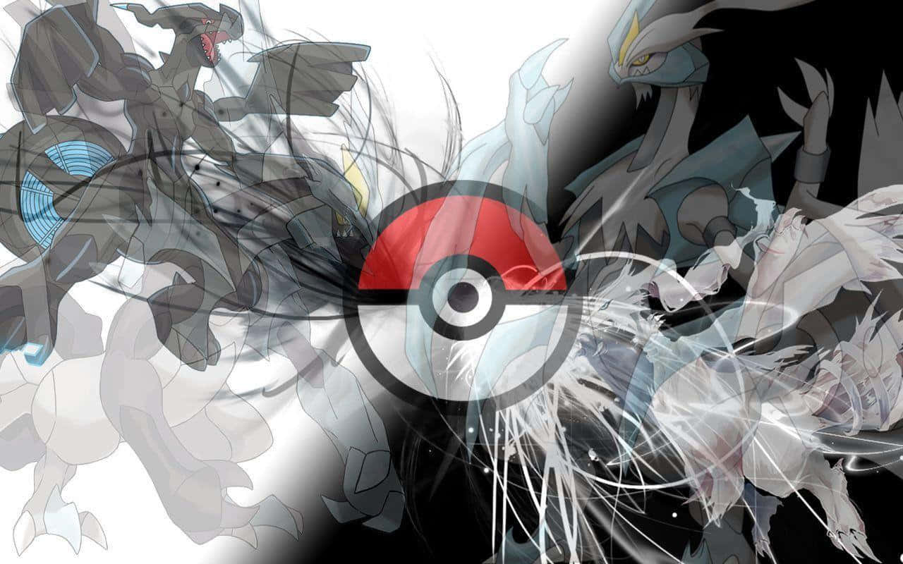 Gotta Catch 'em All – The Ultimate Challenge Of Pokemon Black! Wallpaper