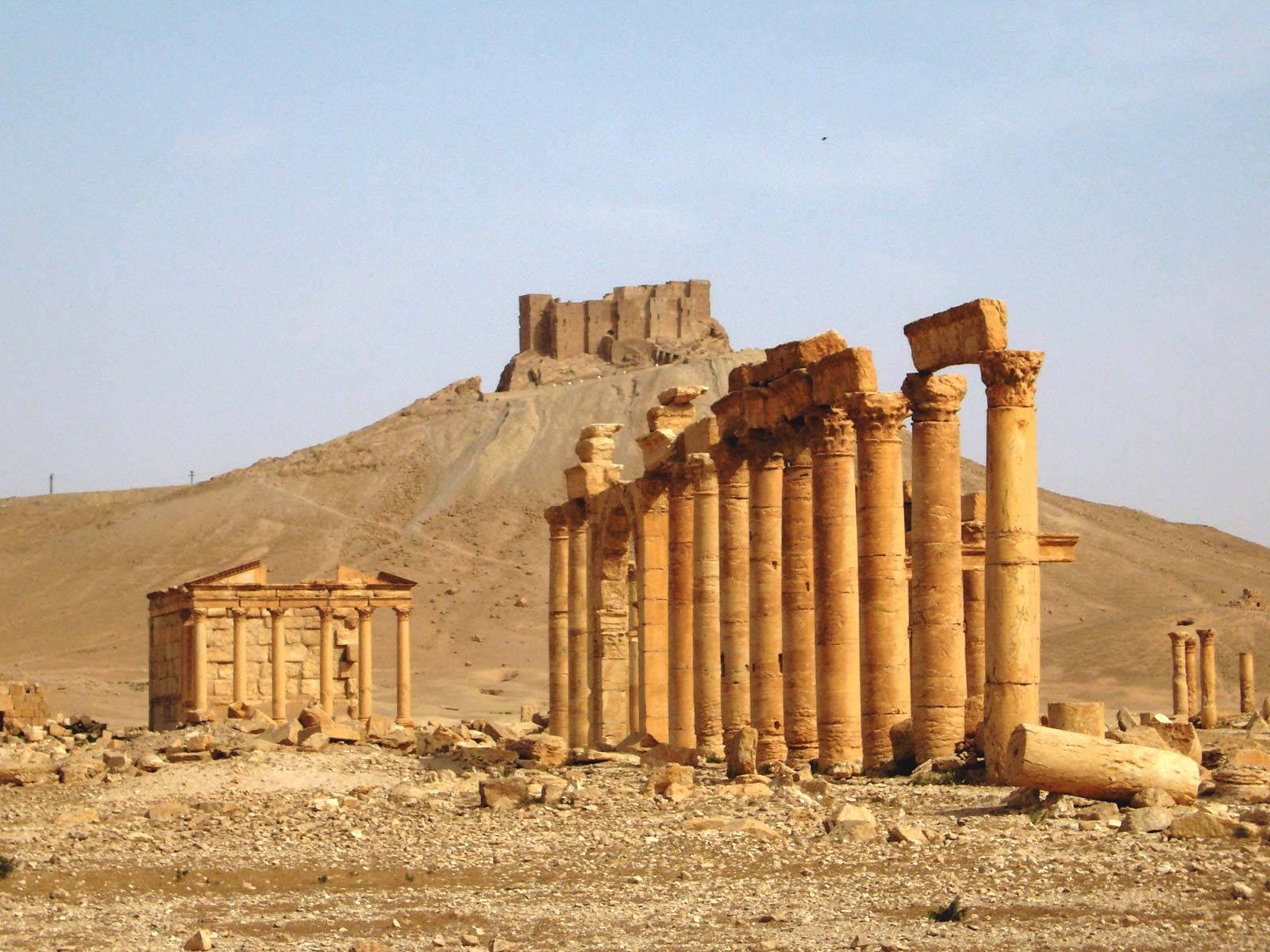 Graeco-roman Colonnaded Street In Palmyra Wallpaper