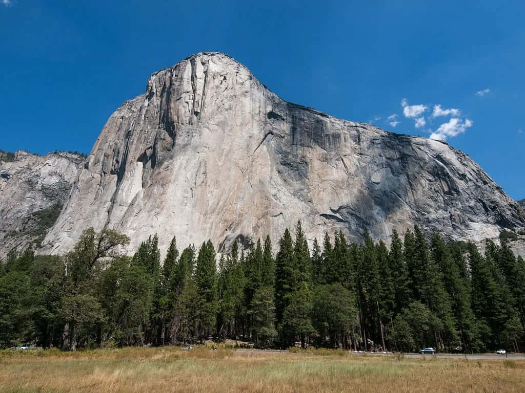 Granite_ Dome_ Amidst_ Forest Wallpaper