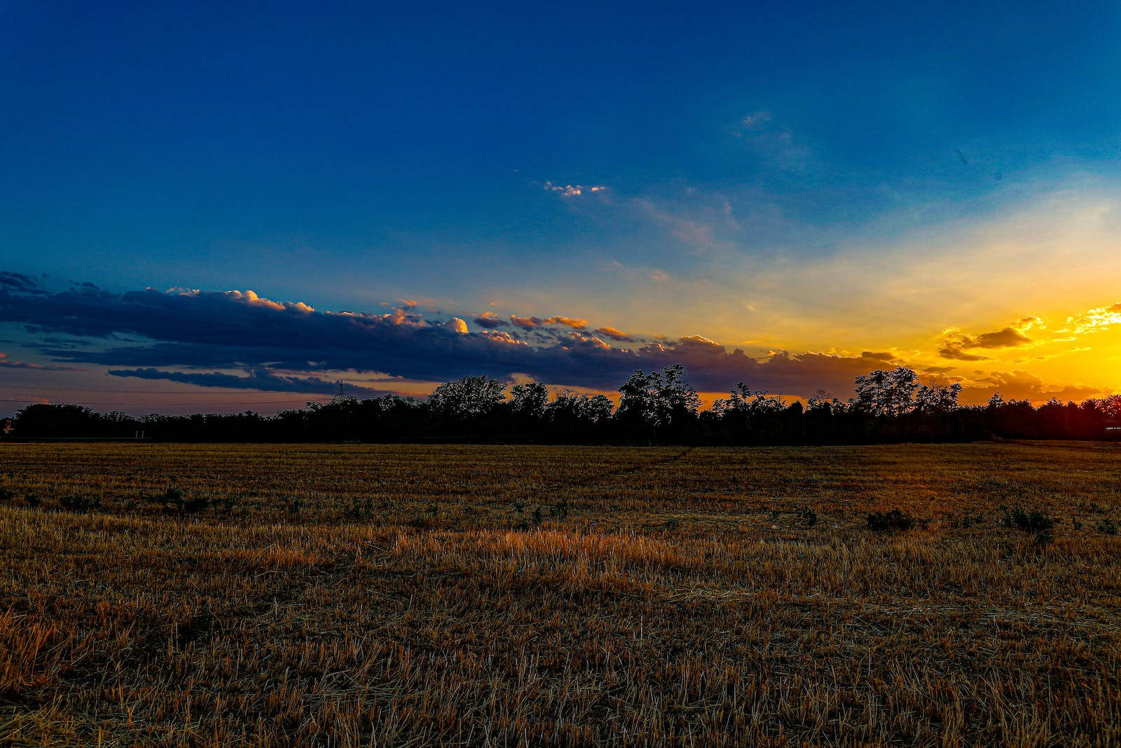 Grass Field Sunrise Nature Wallpaper