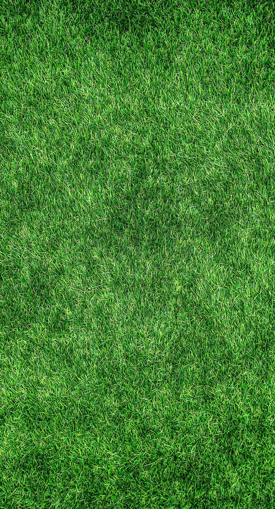 Grass Golf Phone Wallpaper