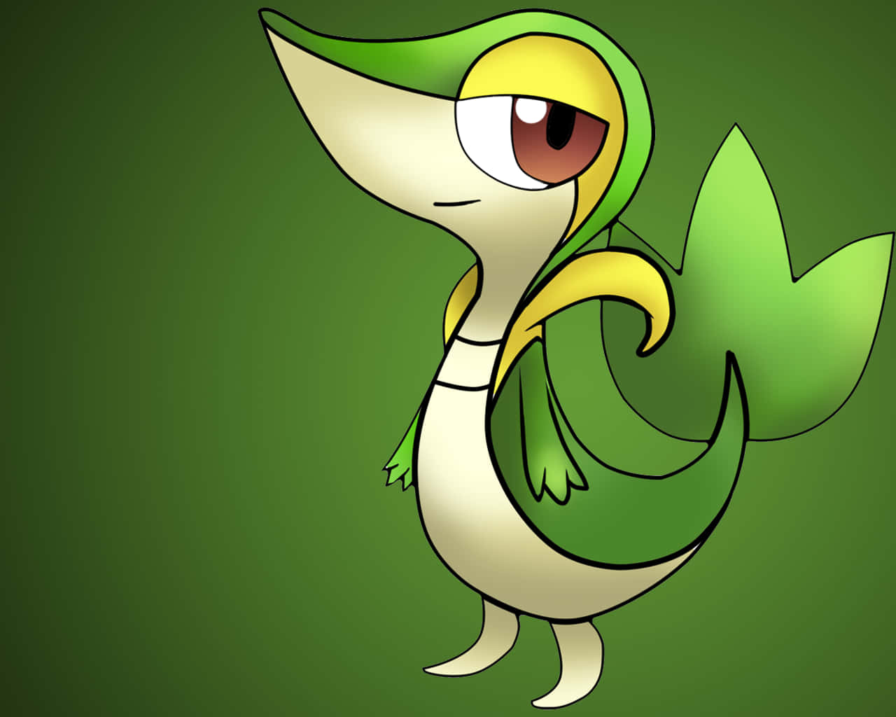 Grass Pokémon Snivy Wallpaper