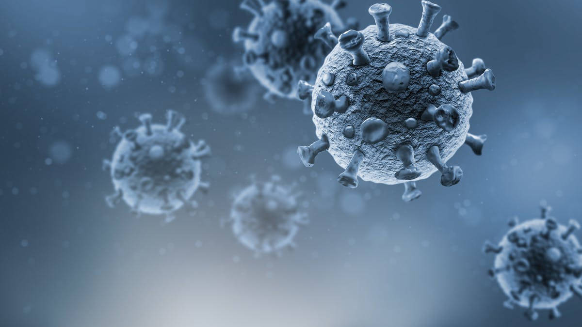 Gray Coronavirus Model Wallpaper