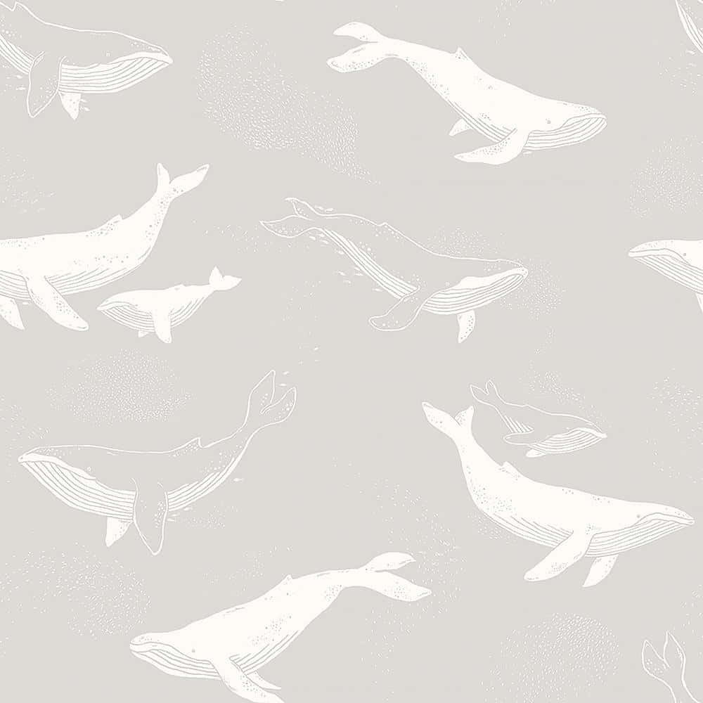 Gray Whale Pattern Illustration Wallpaper