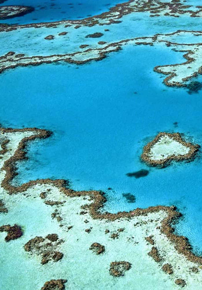 Great Barrier Reef Aerial View Wallpaper