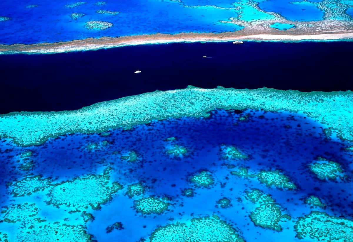 Great Barrier Reef Aerial View Wallpaper