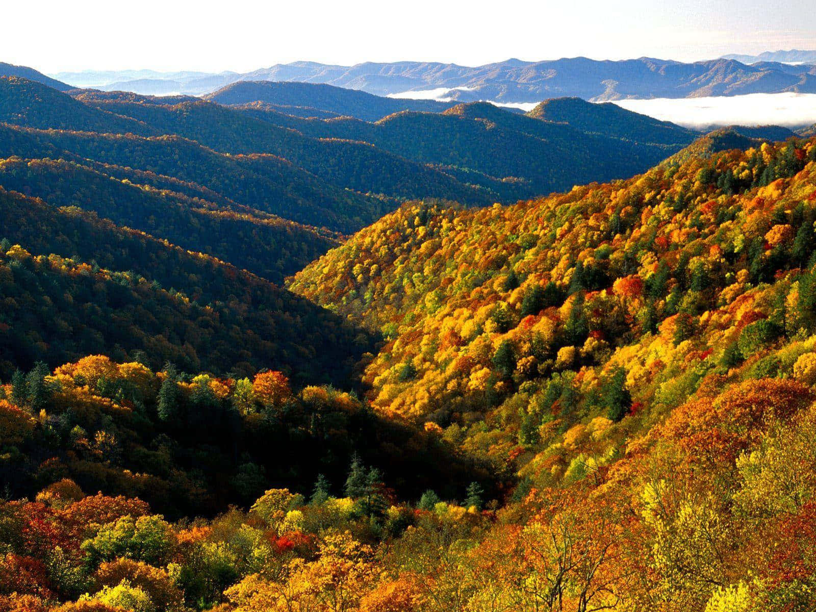 Great Smoky Mountains National Park White Sky Wallpaper