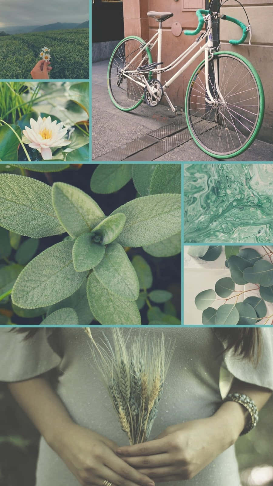 Green Aesthetic Collage Wallpaper