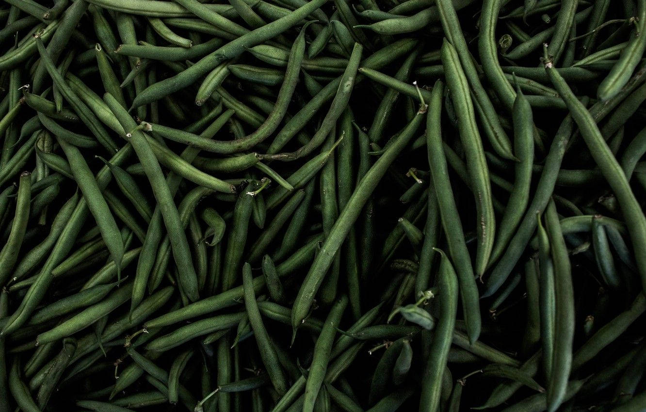 Green Beans Dark Landscape Wallpaper