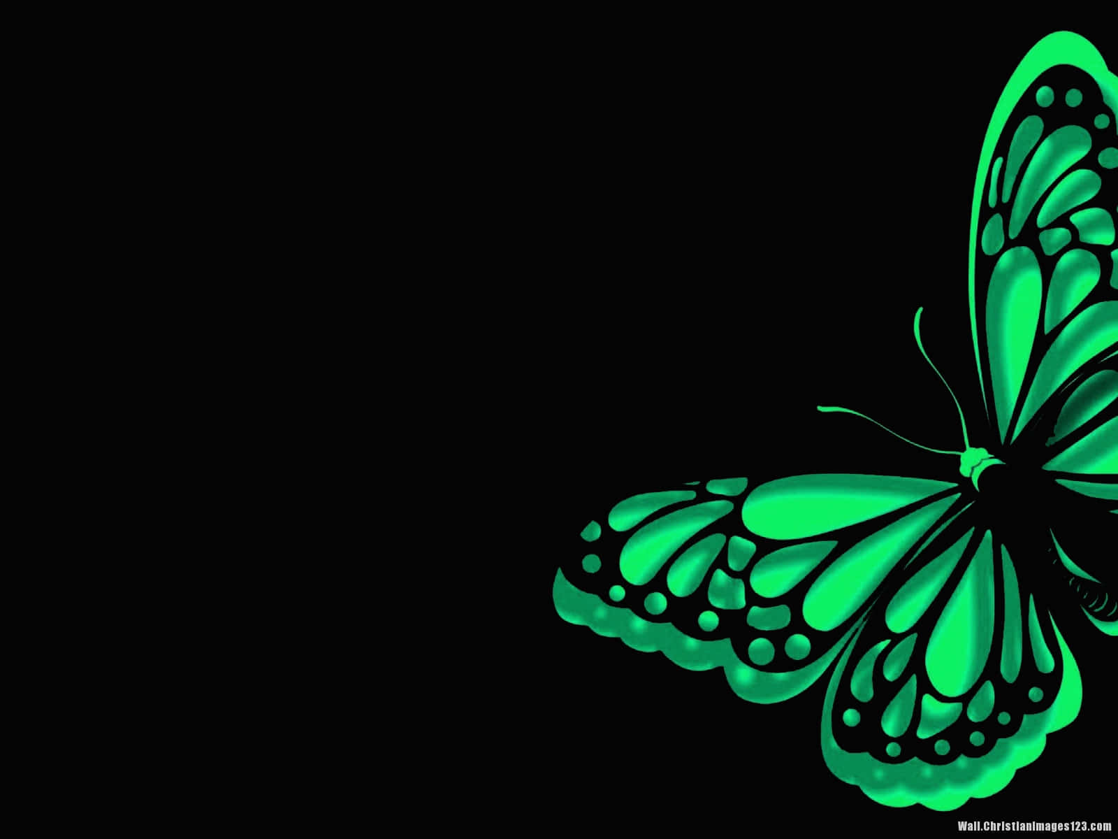 Green Butterfly Fluttering Through The Airing Wallpaper