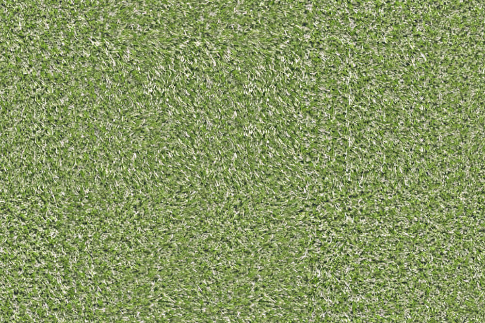 Green Carpet Texture Wallpaper