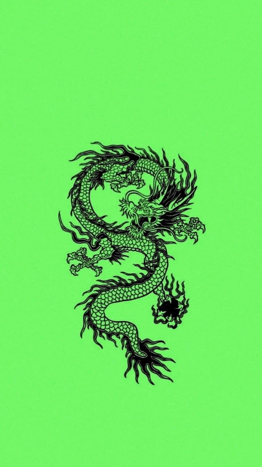 Green_ Dragon_ Illustration Wallpaper