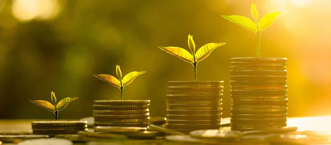 Green Finance 1140 X 500 Wallpaper Wallpaper