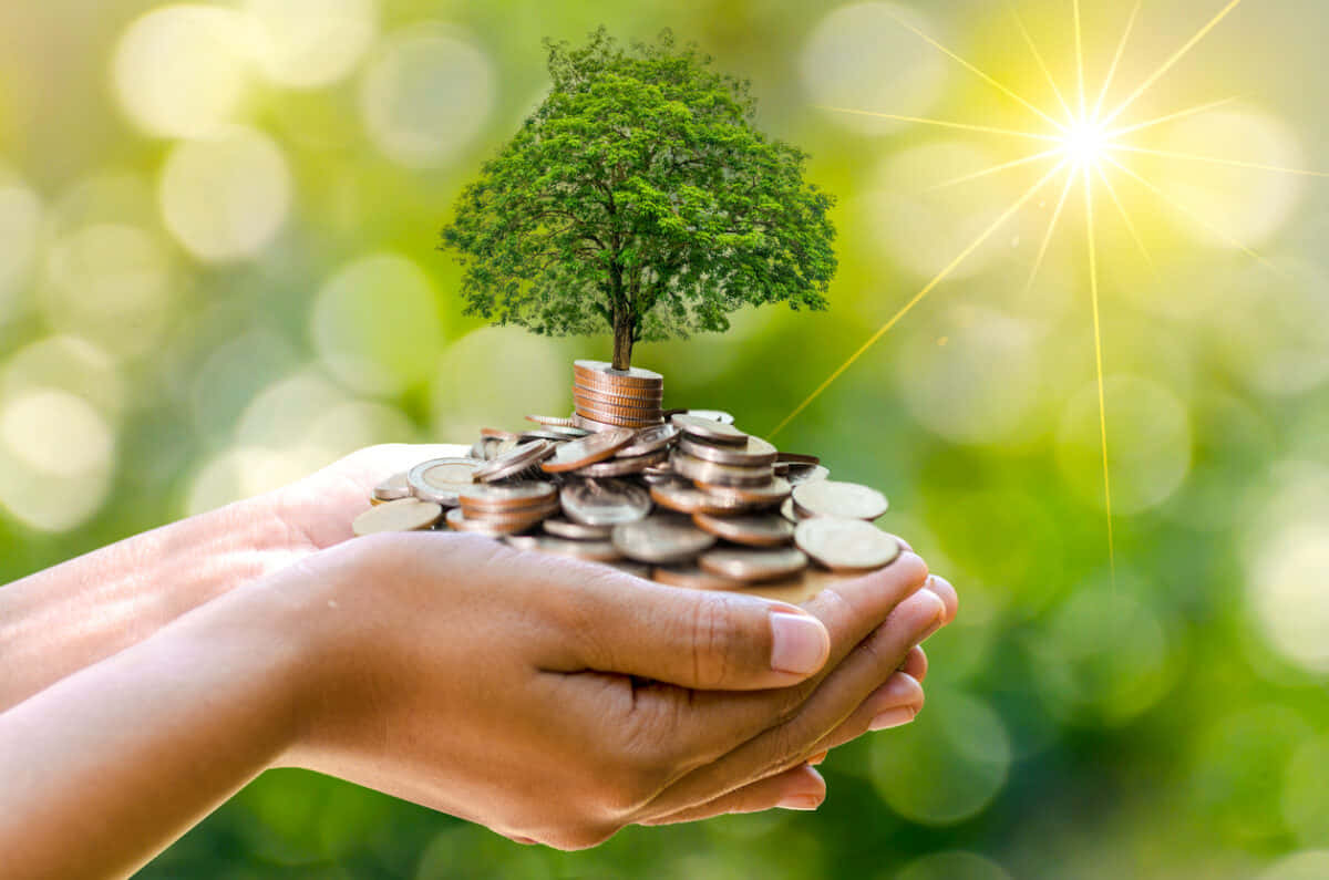 Green Finance And Sustainable Investments Wallpaper